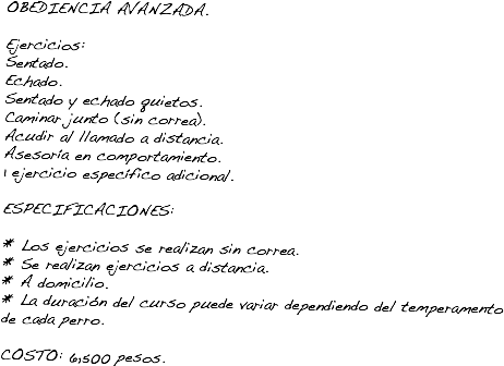 
OBEDIENCIA AVANZADA. Ejercicios:
Sentado.
Echado.
Sentado y echado quietos.
Caminar junto (sin correa).
Acudir al llamado a distancia.
Asesoría en comportamiento.
1 ejercicio específico adicional. ESPECIFICACIONES: * Los ejercicios se realizan sin correa.
* Se realizan ejercicios a distancia.
* A domicilio.
* La duración del curso puede variar dependiendo del temperamento de cada perro. COSTO: 6,500 pesos.